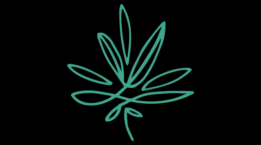 An out-of-state patient using Maine medical cannabis reciprocity to receive a legal delivery from Tried & True in Southern Maine.