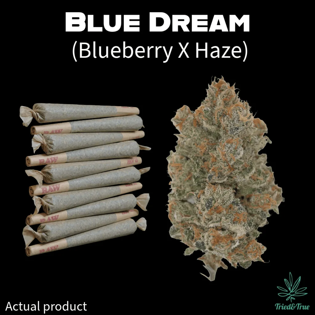 blue-dream-prerolls-10-pack-delivery-south-portland.png