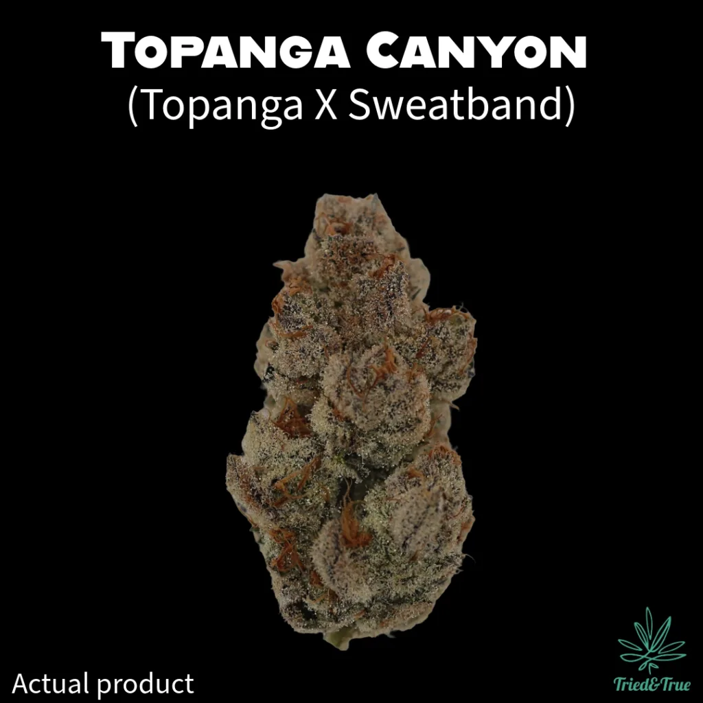 Close up of premium Topanga Canyon medical cannabis flower cultivated by Tried & True in Southern Maine.